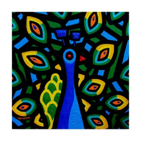 Trademark Fine Art John Nolan 'Peacock Geo 2' Canvas Art, 35x35 ALI37041-C3535GG